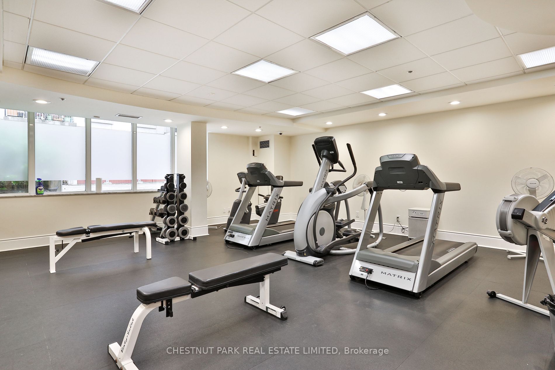 55 Delisle Ave, #602