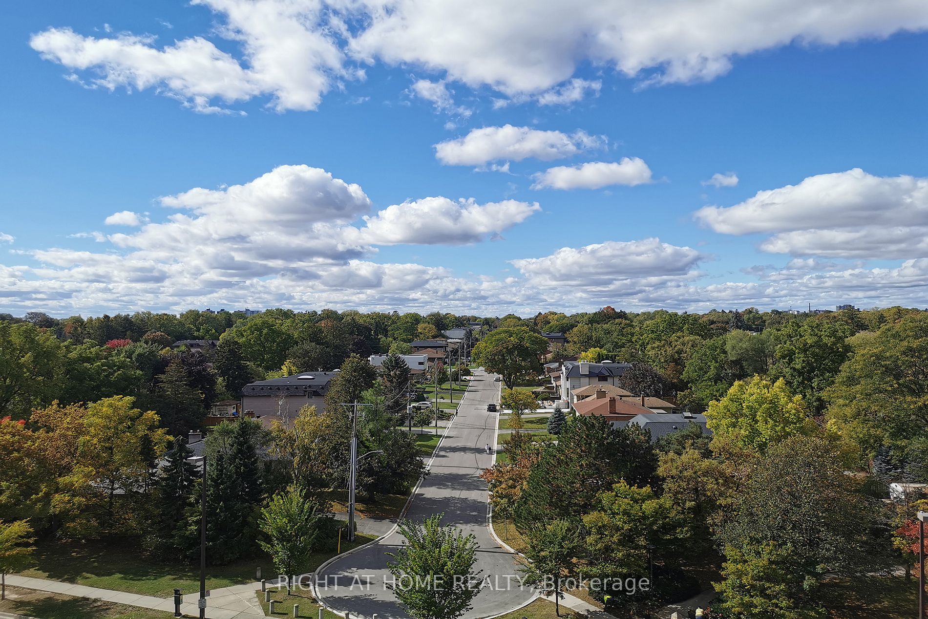233 Beecroft Rd, #812