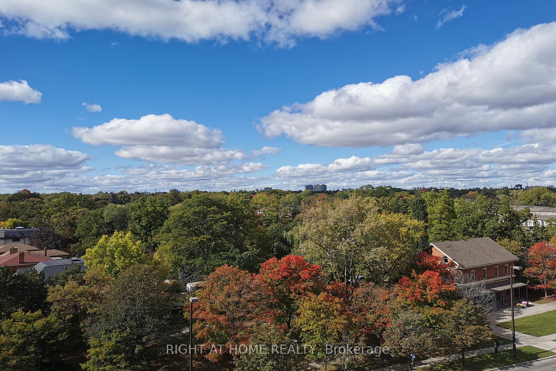 233 Beecroft Rd, #812