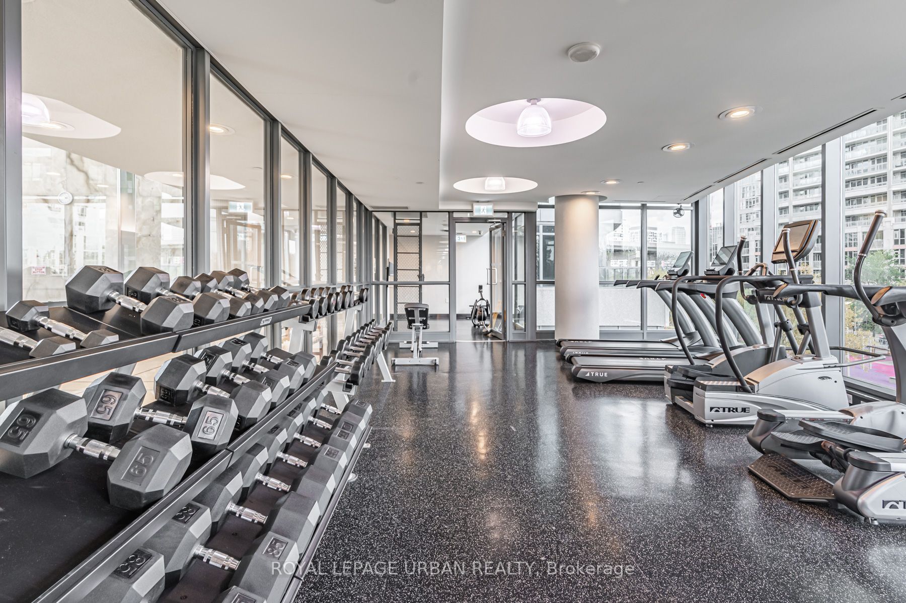 209 Fort York Blvd, #385