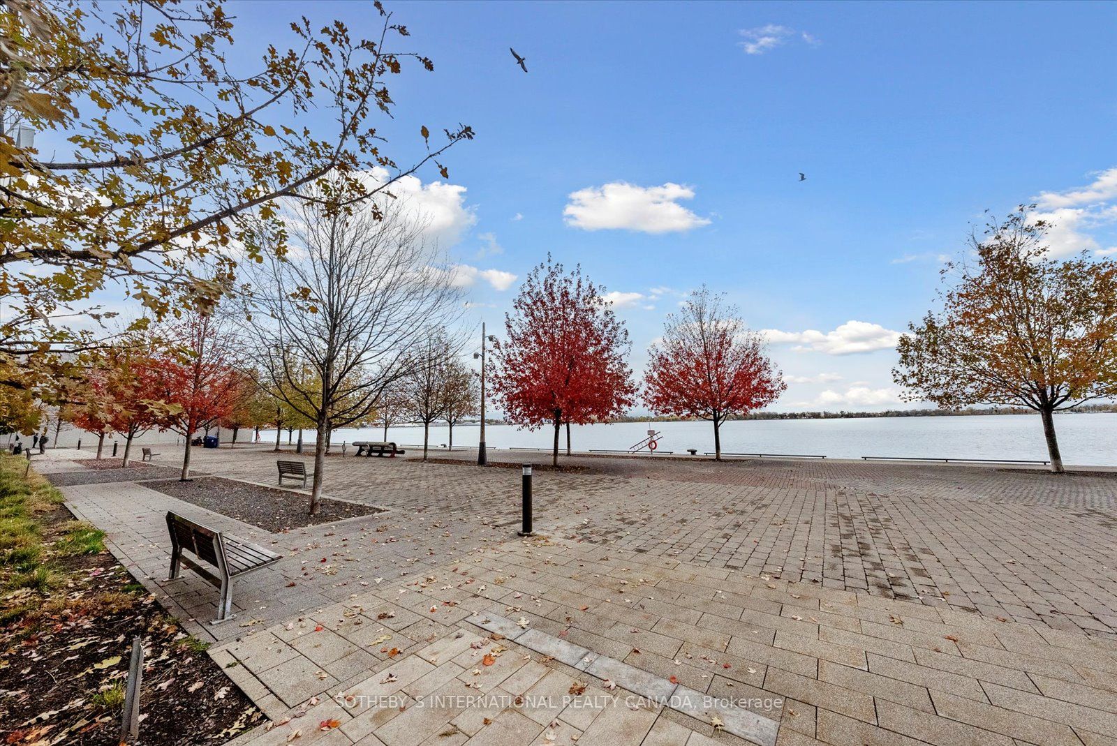29 Queens Quay E, #705