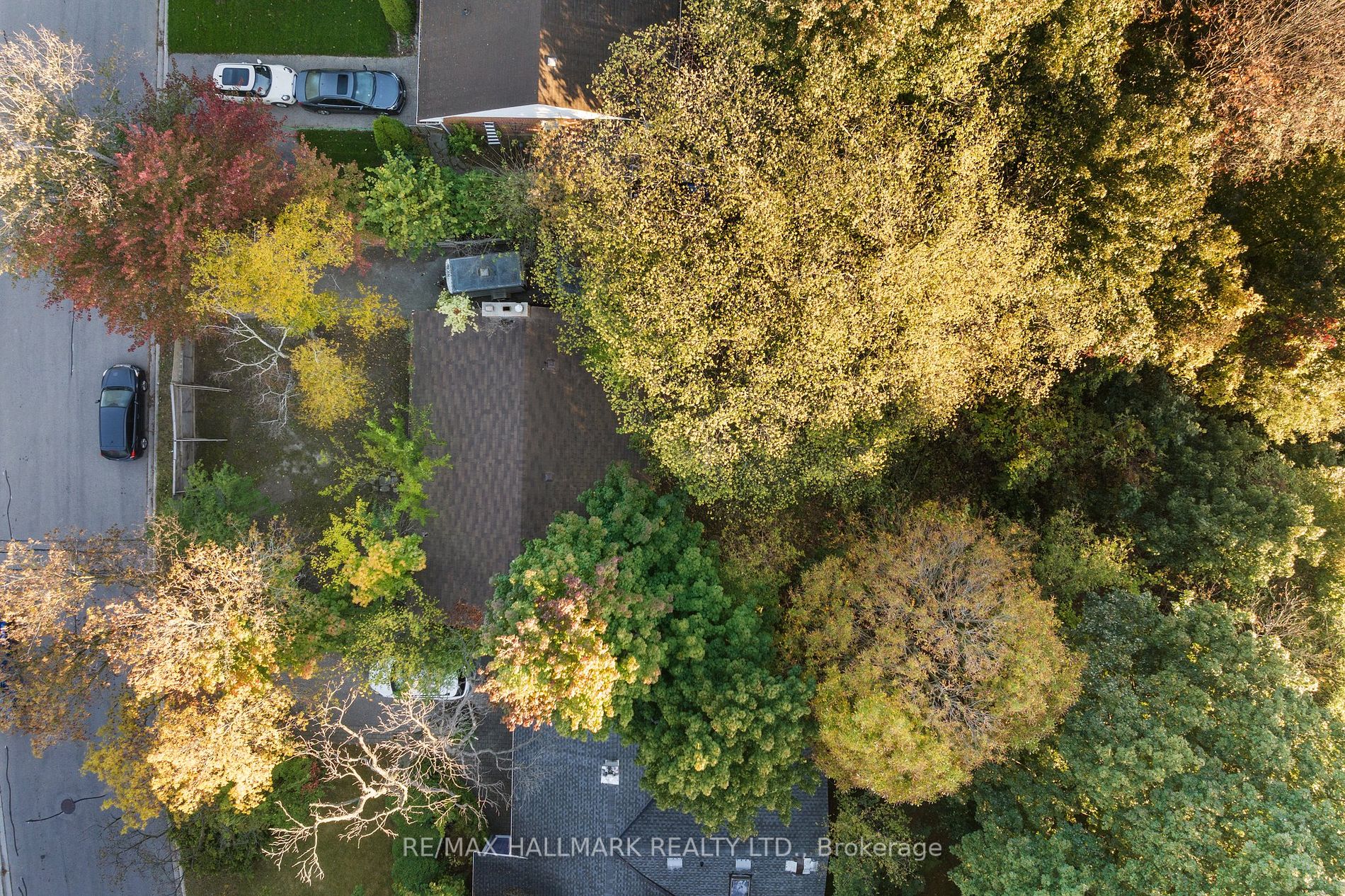 19 Woodcliff Pl