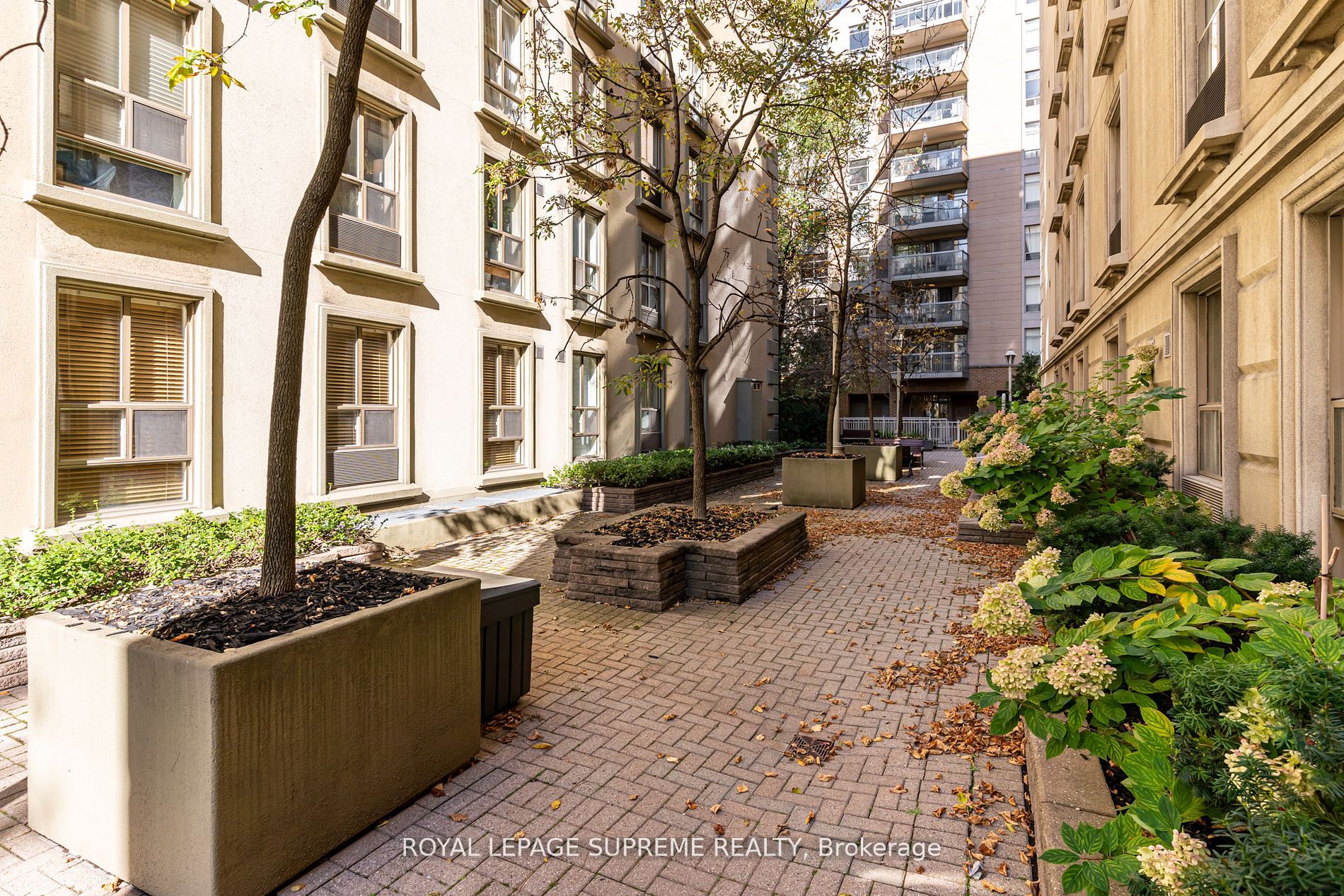 88 Charles St E, #107