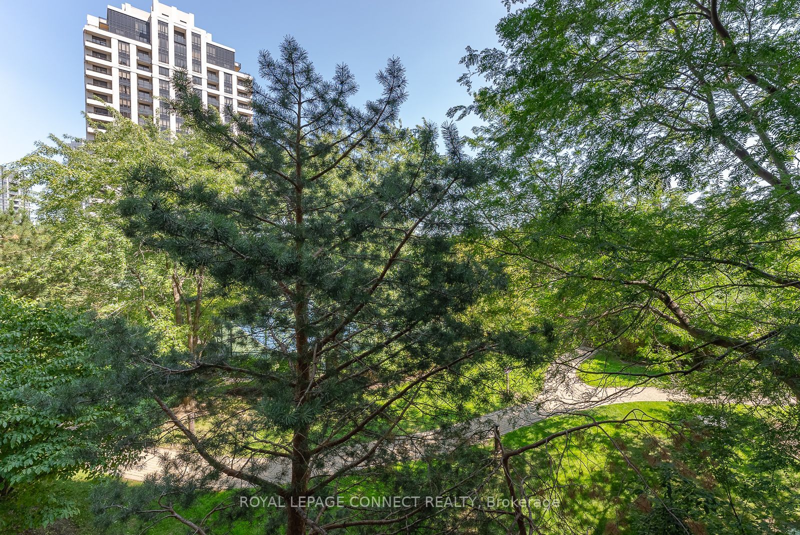 80 Harrison Garden Blvd, #318