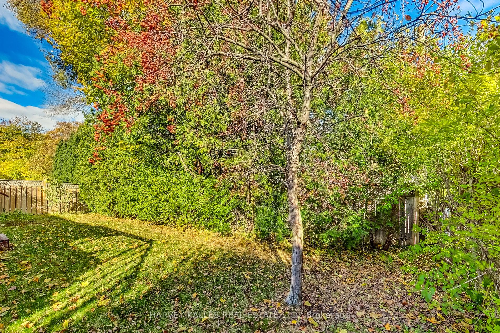 7 Fordham Pl