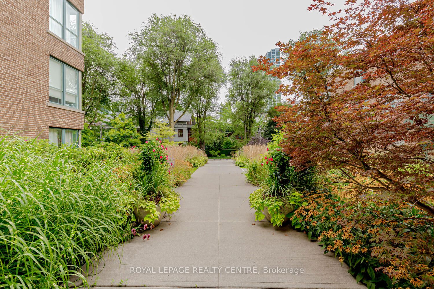 30 Elm Ave, #312