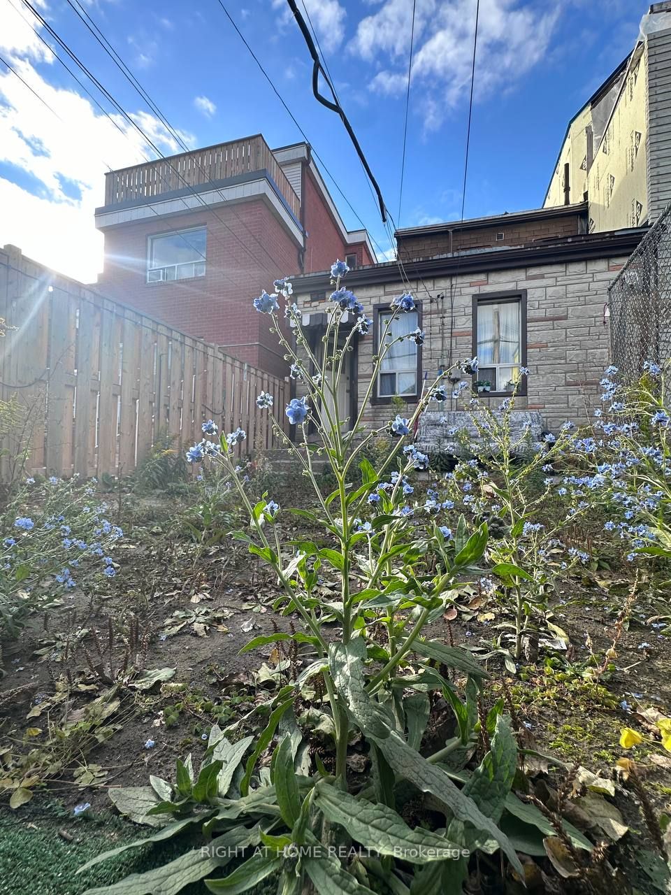 77 Northcote Ave