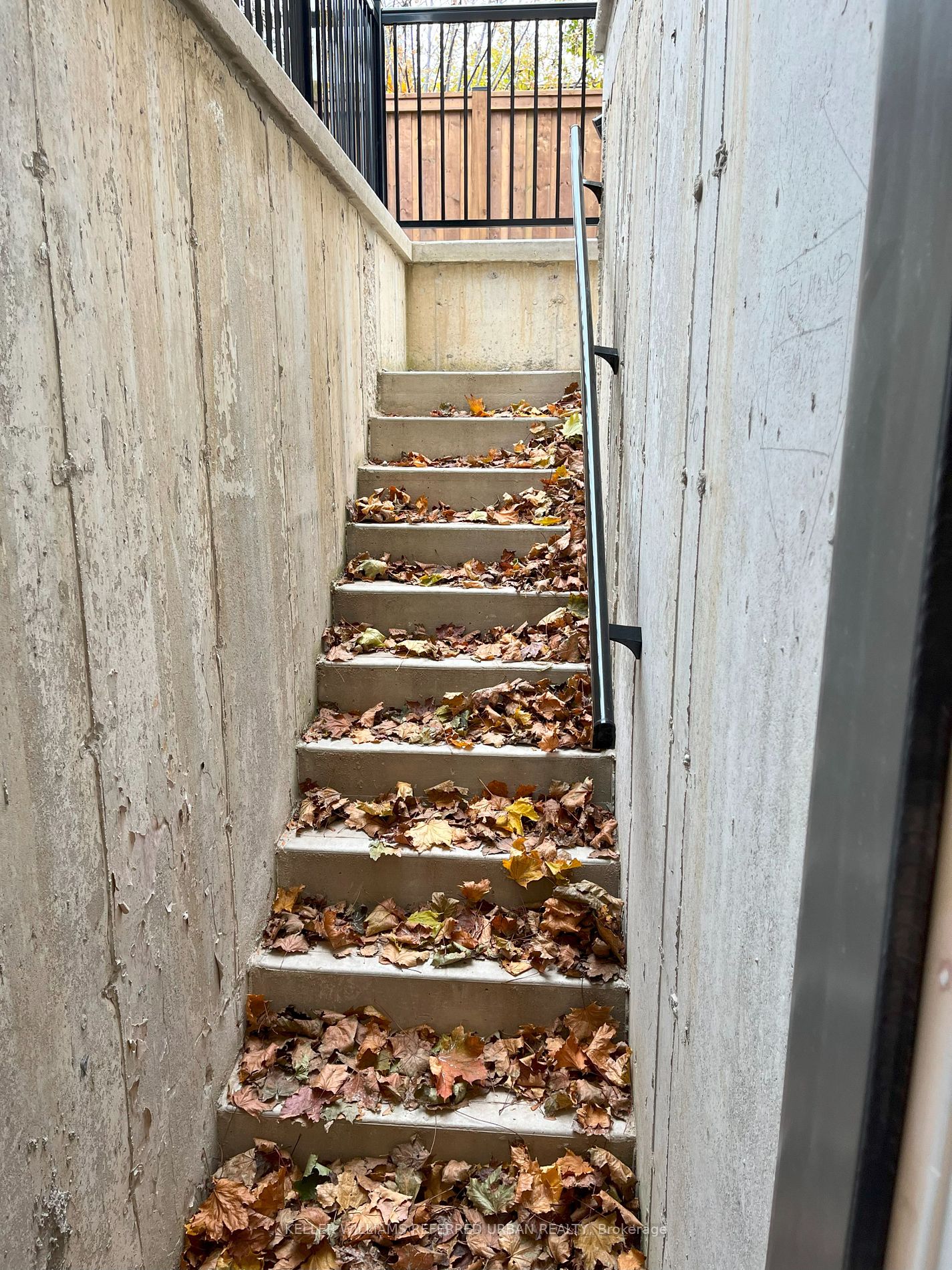 97 Dell Park Ave, #Bsmt