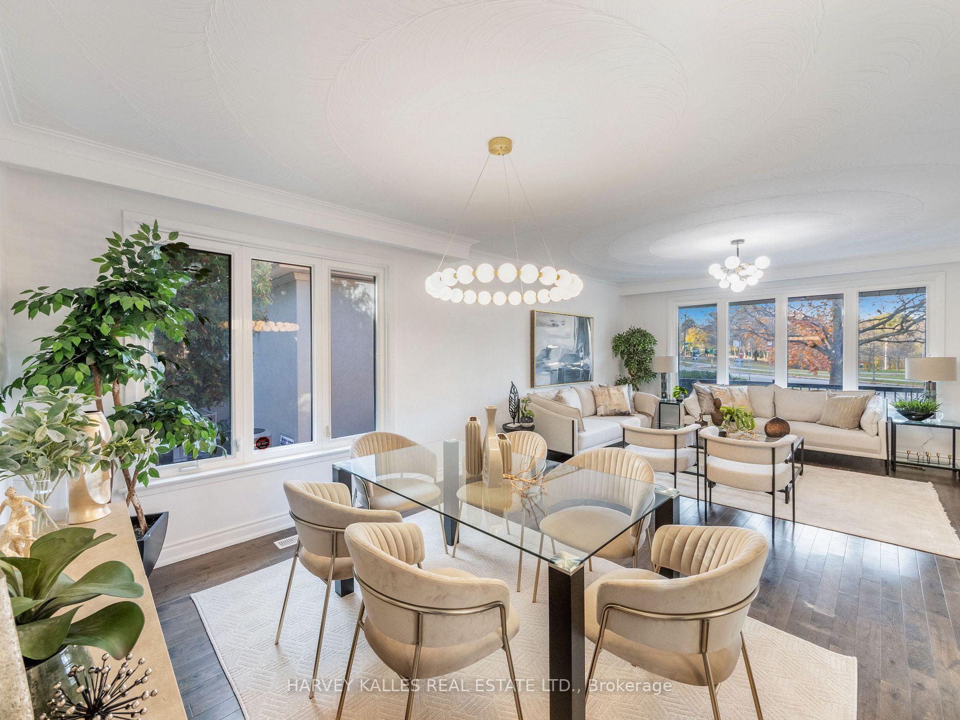 169 Torresdale Ave