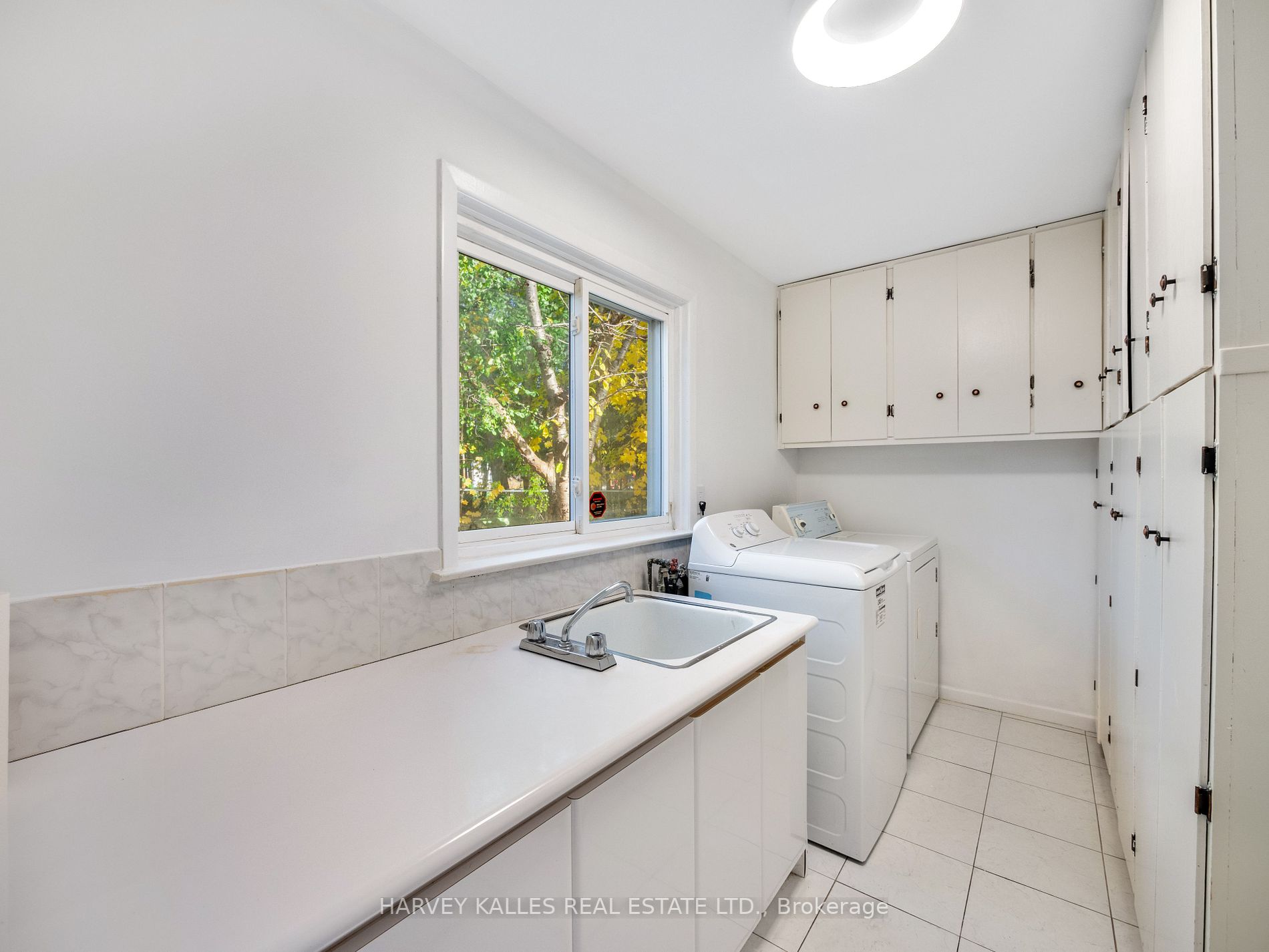 169 Torresdale Ave