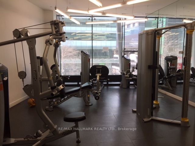 14 York St, #5212