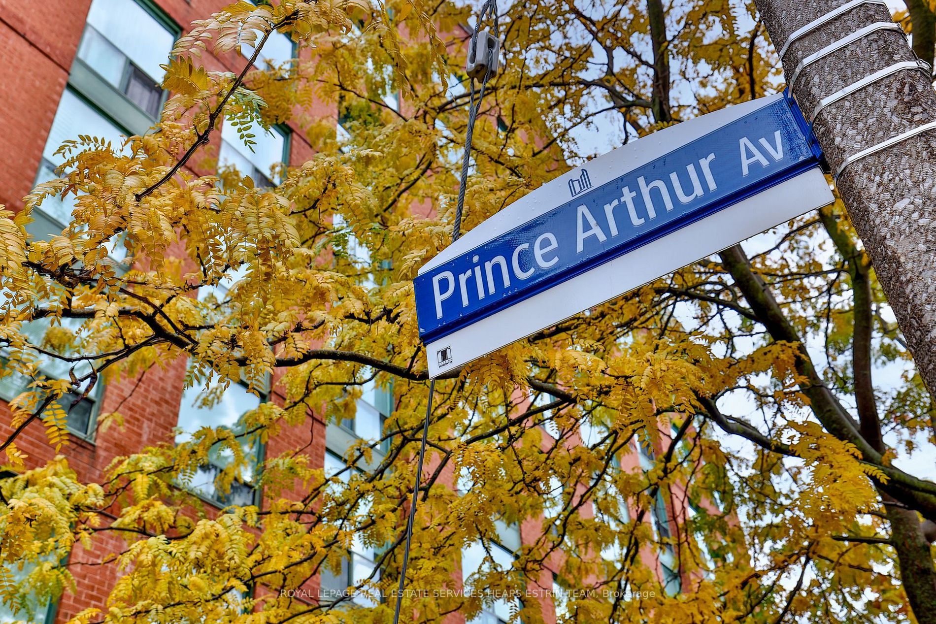 95 Prince Arthur Ave, #516