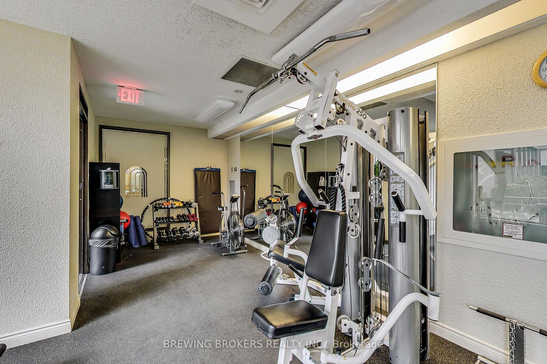 65 Spring Garden Ave, #410