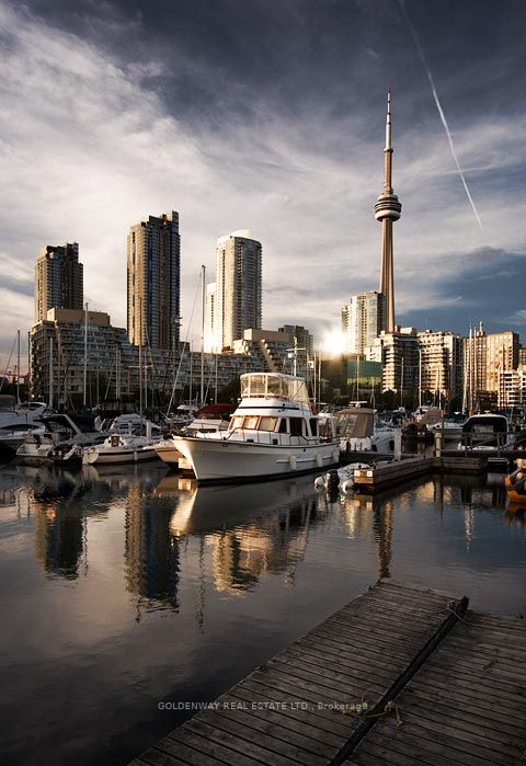 8 York St, #2013