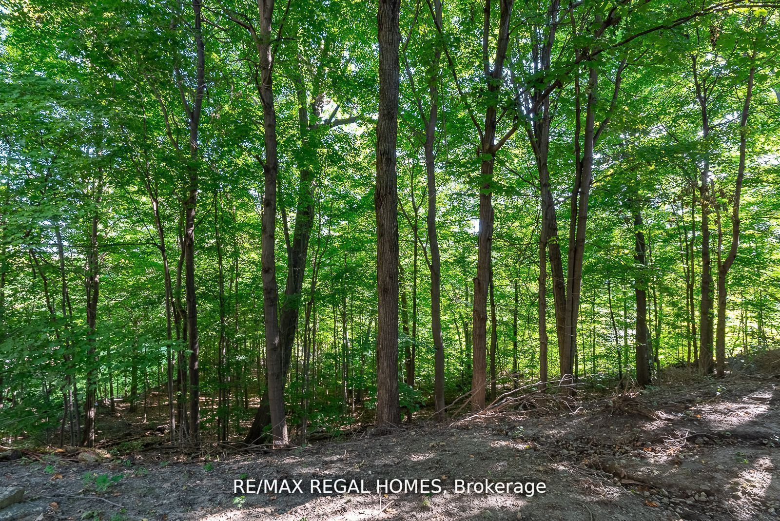 57 Windy Golf Way E, #3