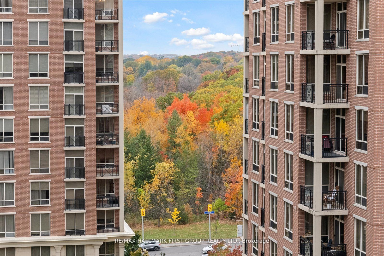 1103 Leslie Street, #1006