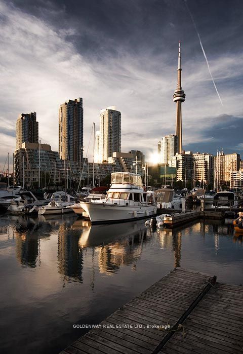 8 York St, #2013