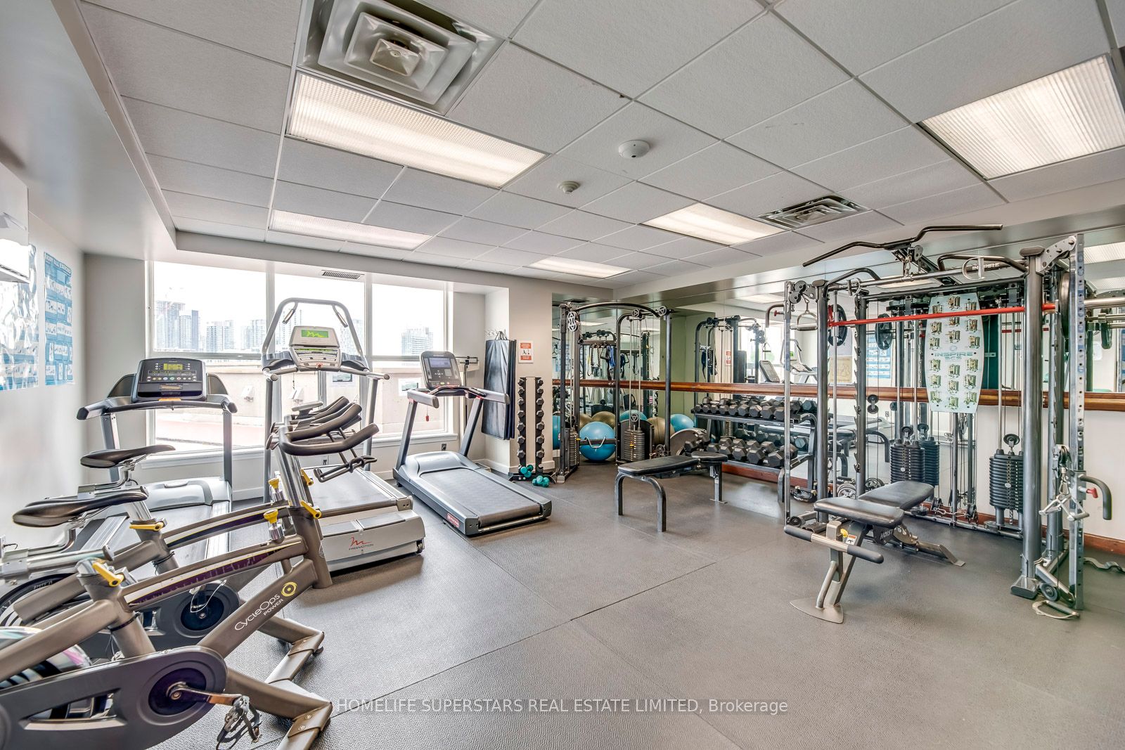 801 King St, #818