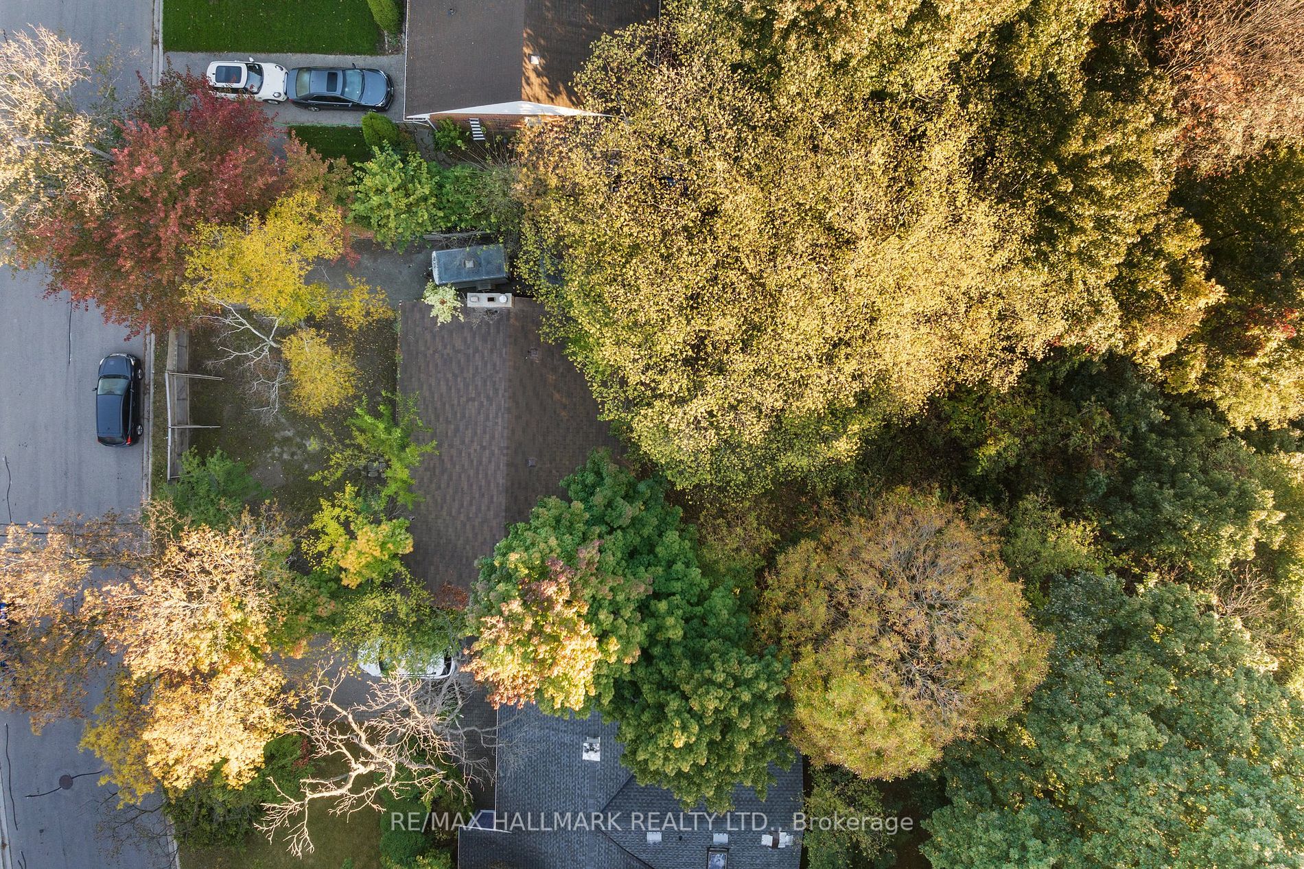 19 Woodcliff Place