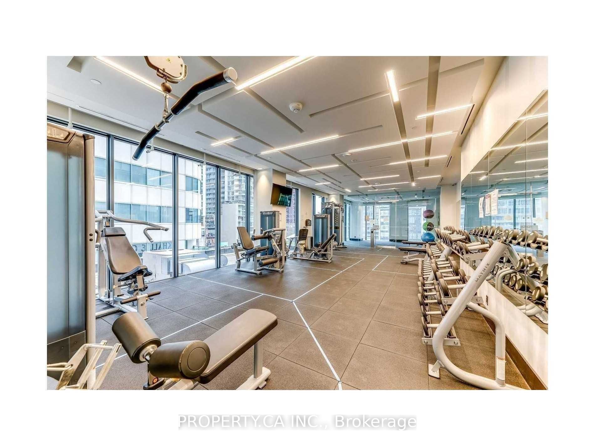 87 Peter Street #2809