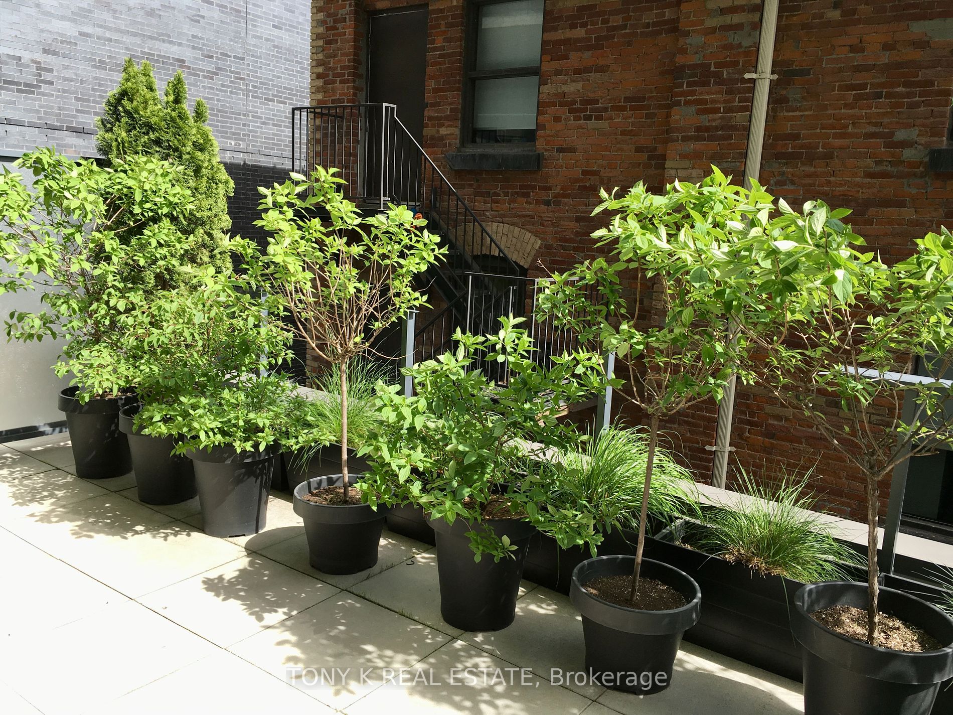 478 King Street W, #313