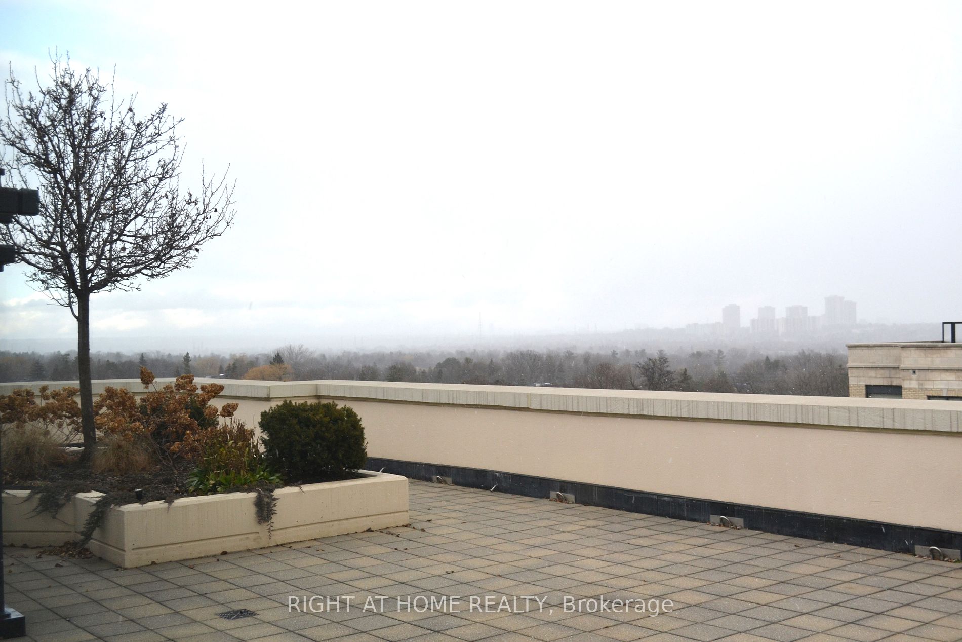 650 Sheppard Avenue E, #221