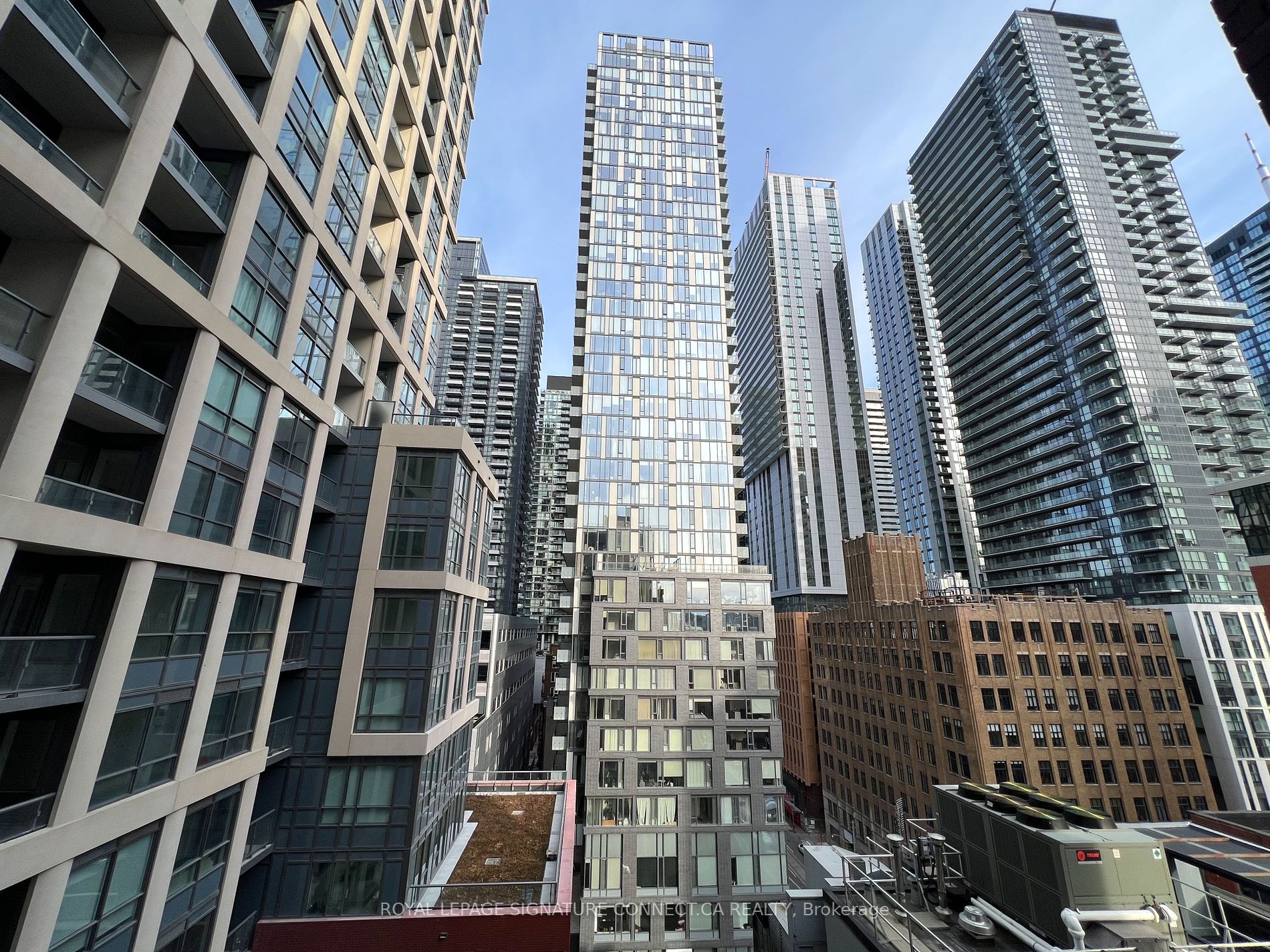 108 Peter Street #1113