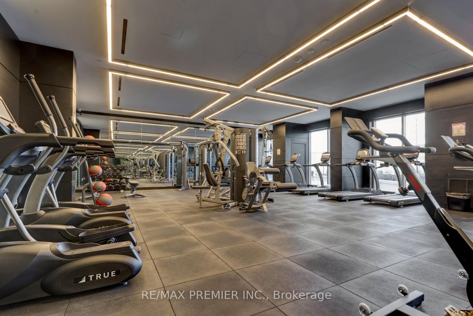 31 Tippett Rd, #445