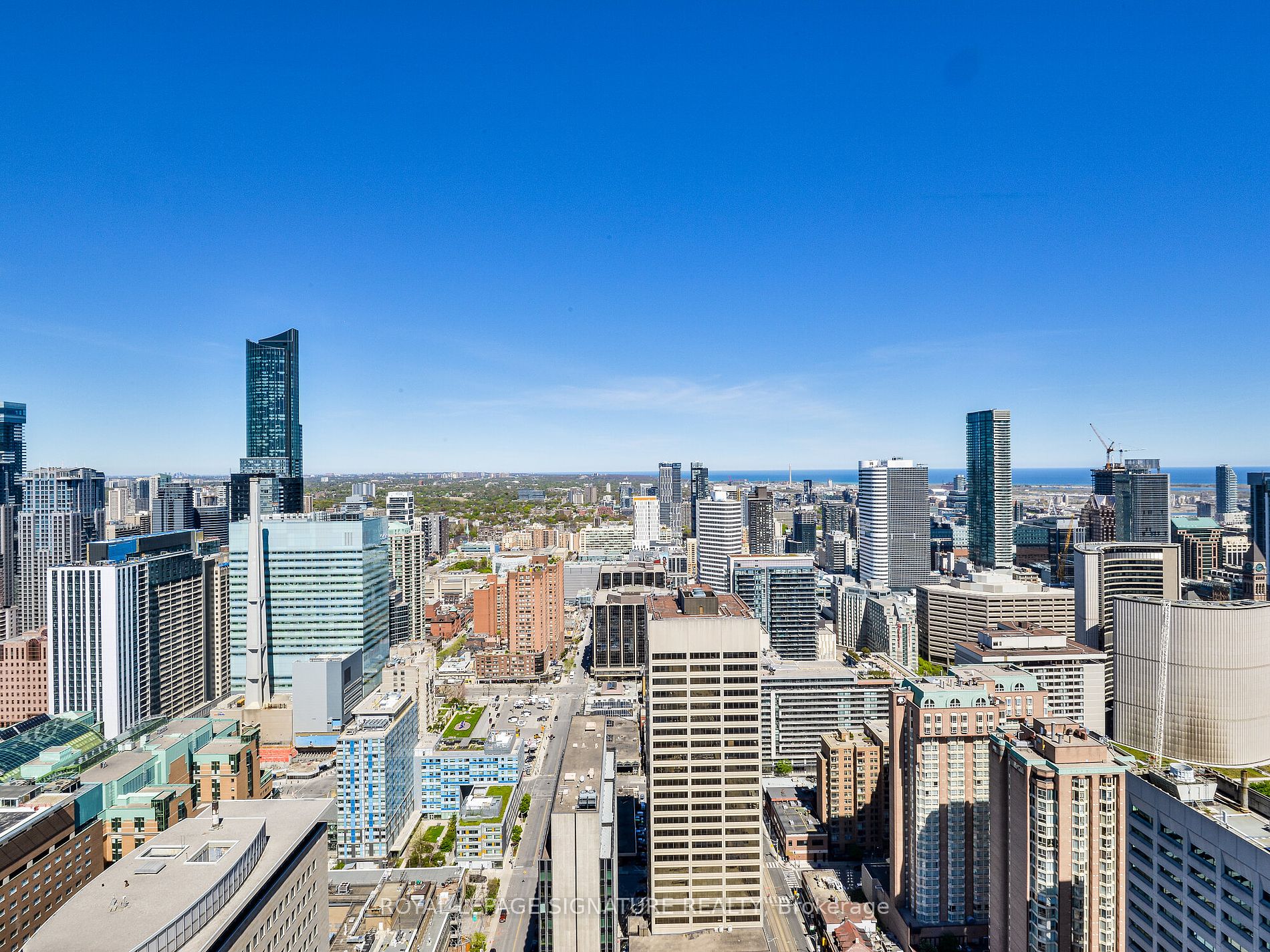 488 University Avenue, #3805