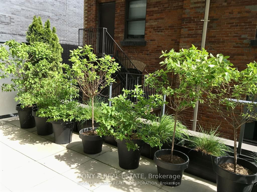 478 King Street W, #313