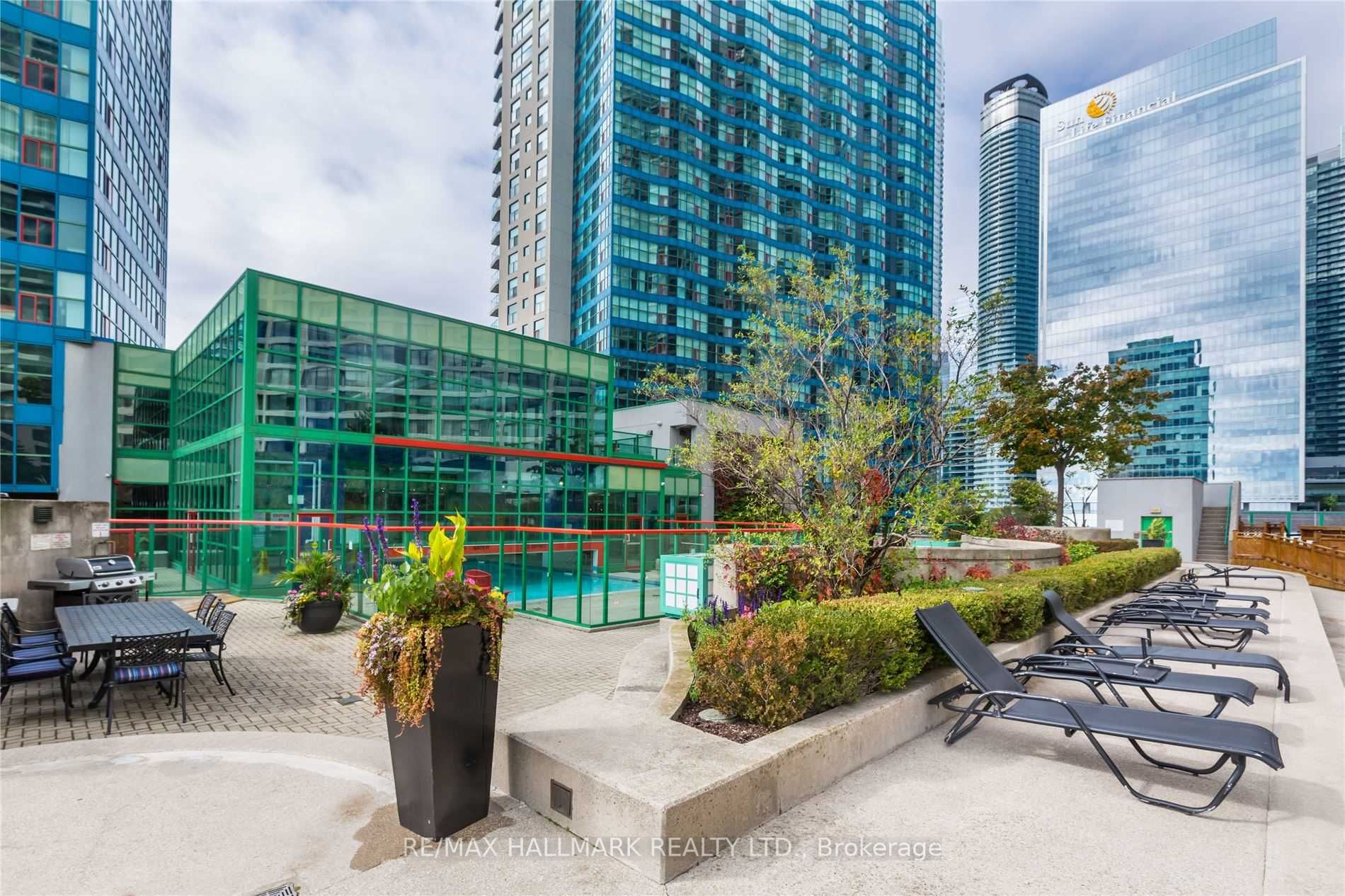 77 Harbour Sq, #502