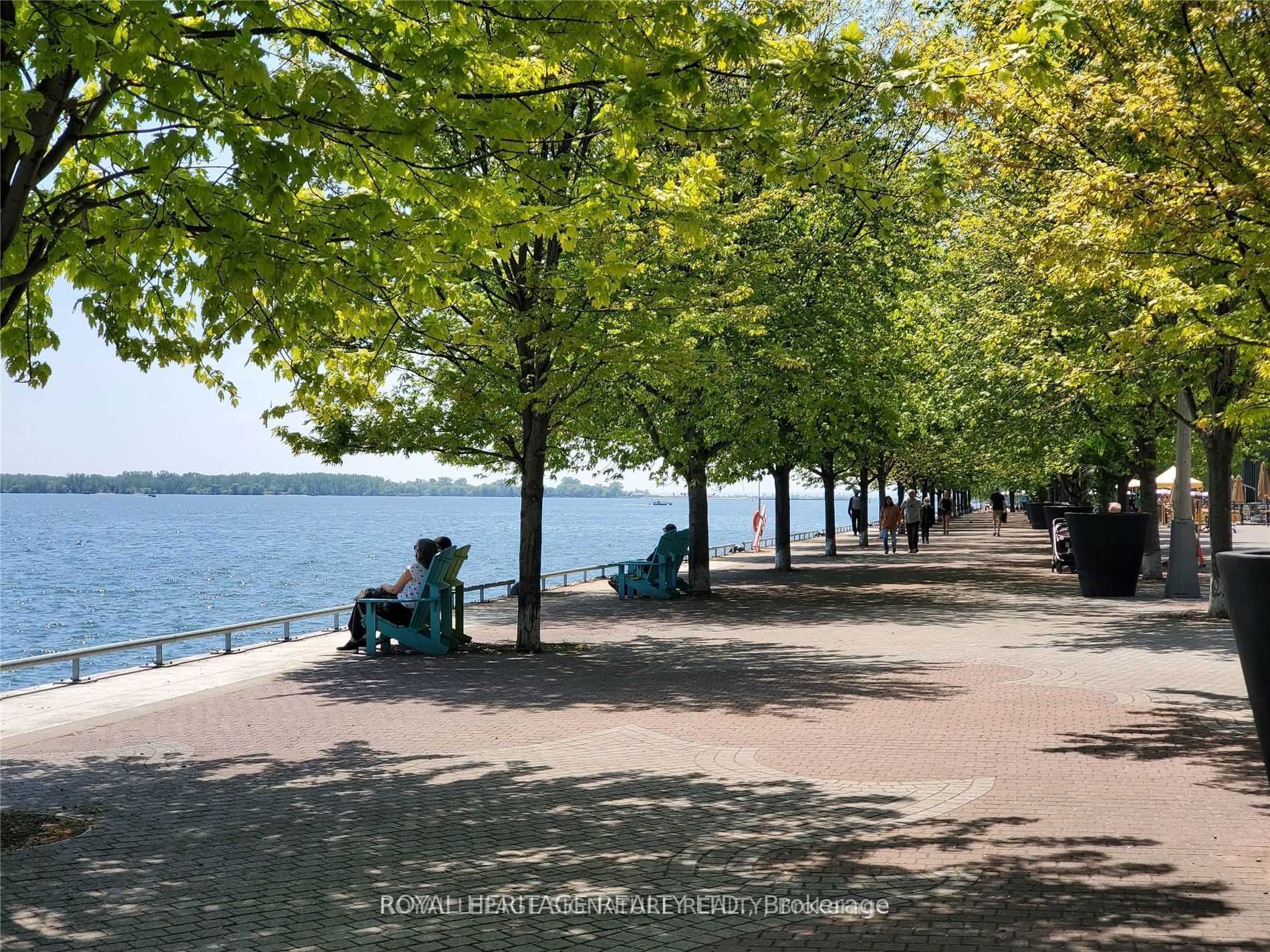 12 Bonnycastle Street, #504