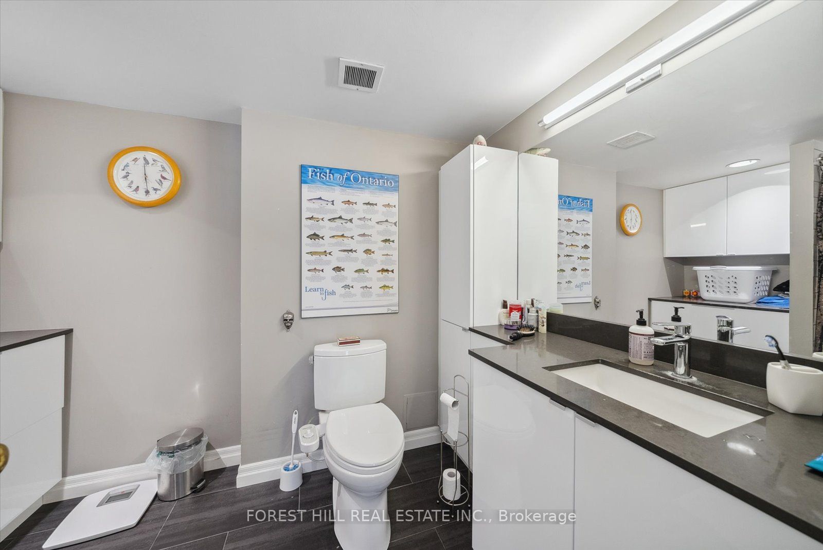 25 Maitland St, #412
