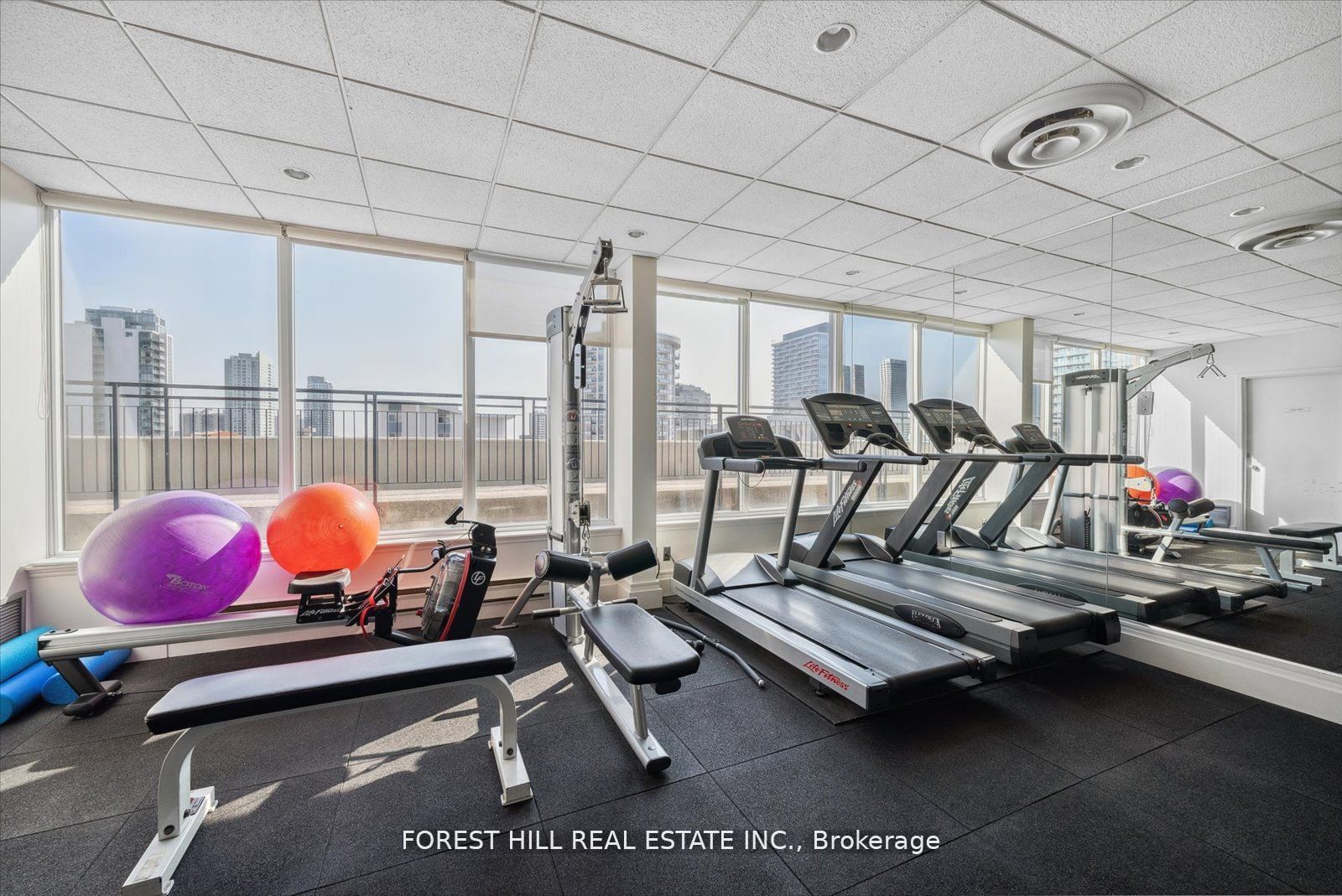 25 Maitland St, #412