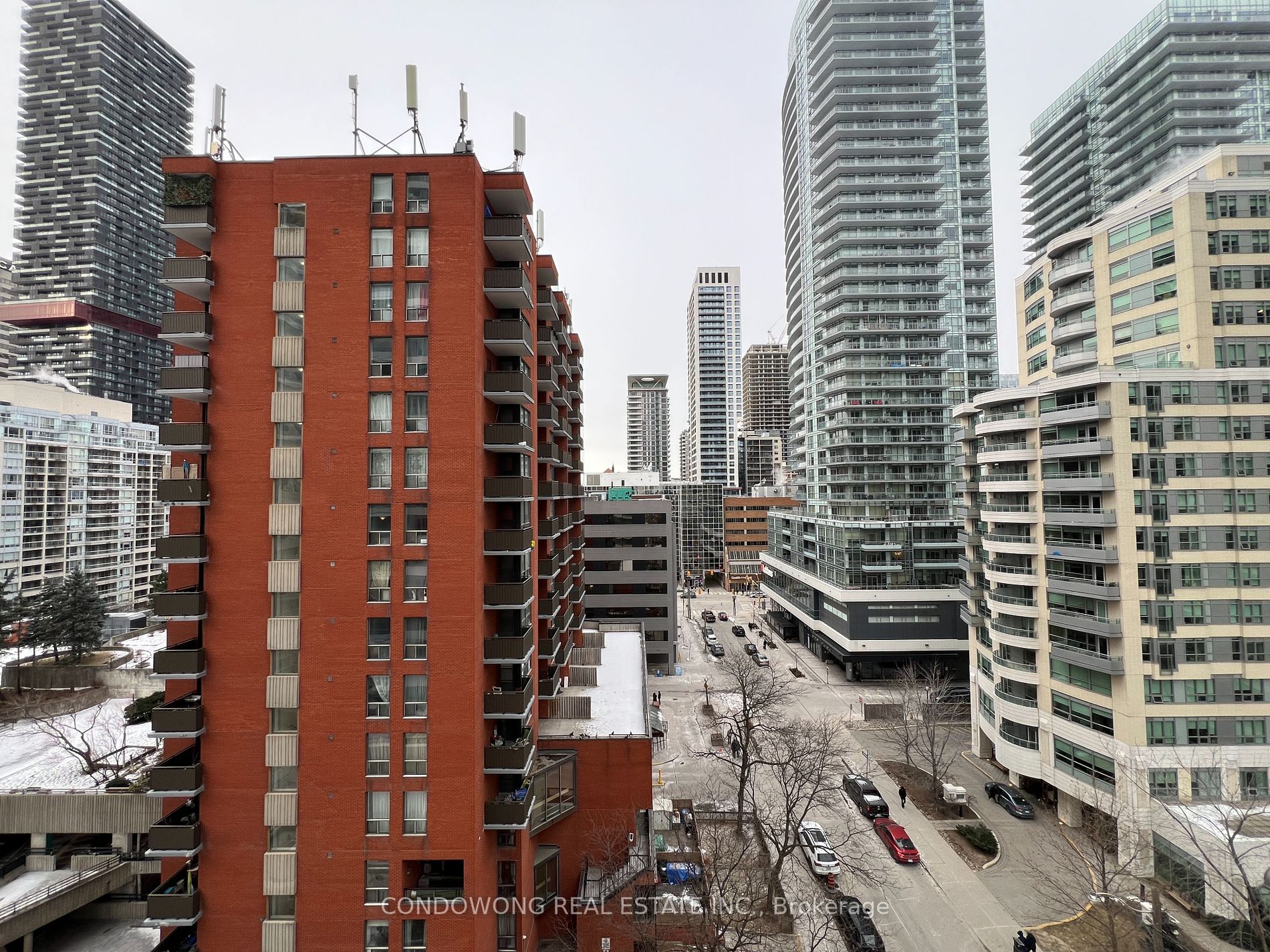 50 Dunfield Avenue #1019