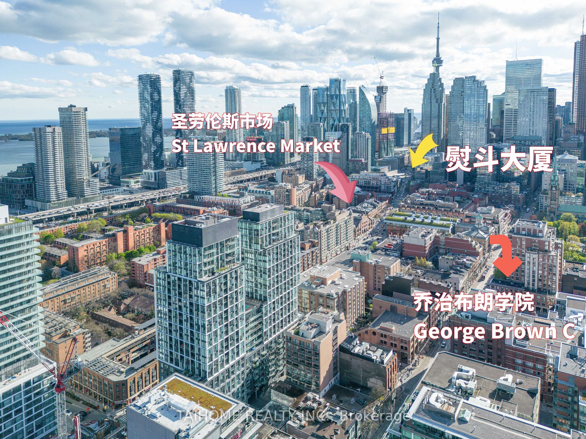 158 Front Street E #813