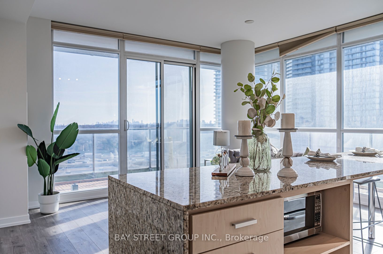 29 Singer Court #1802
