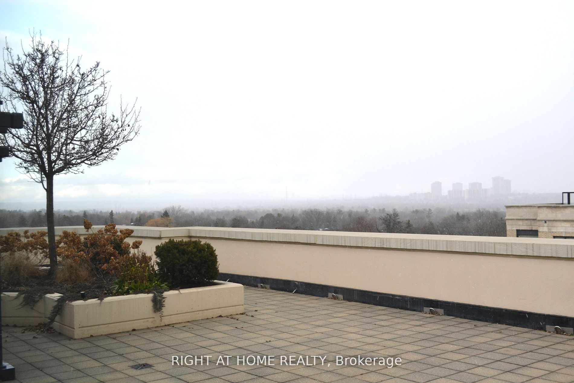 650 Sheppard Avenue E, #221