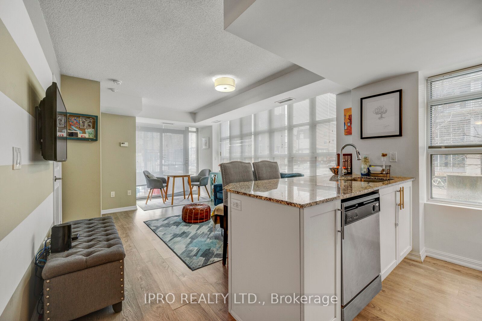 65 East Liberty Street #224