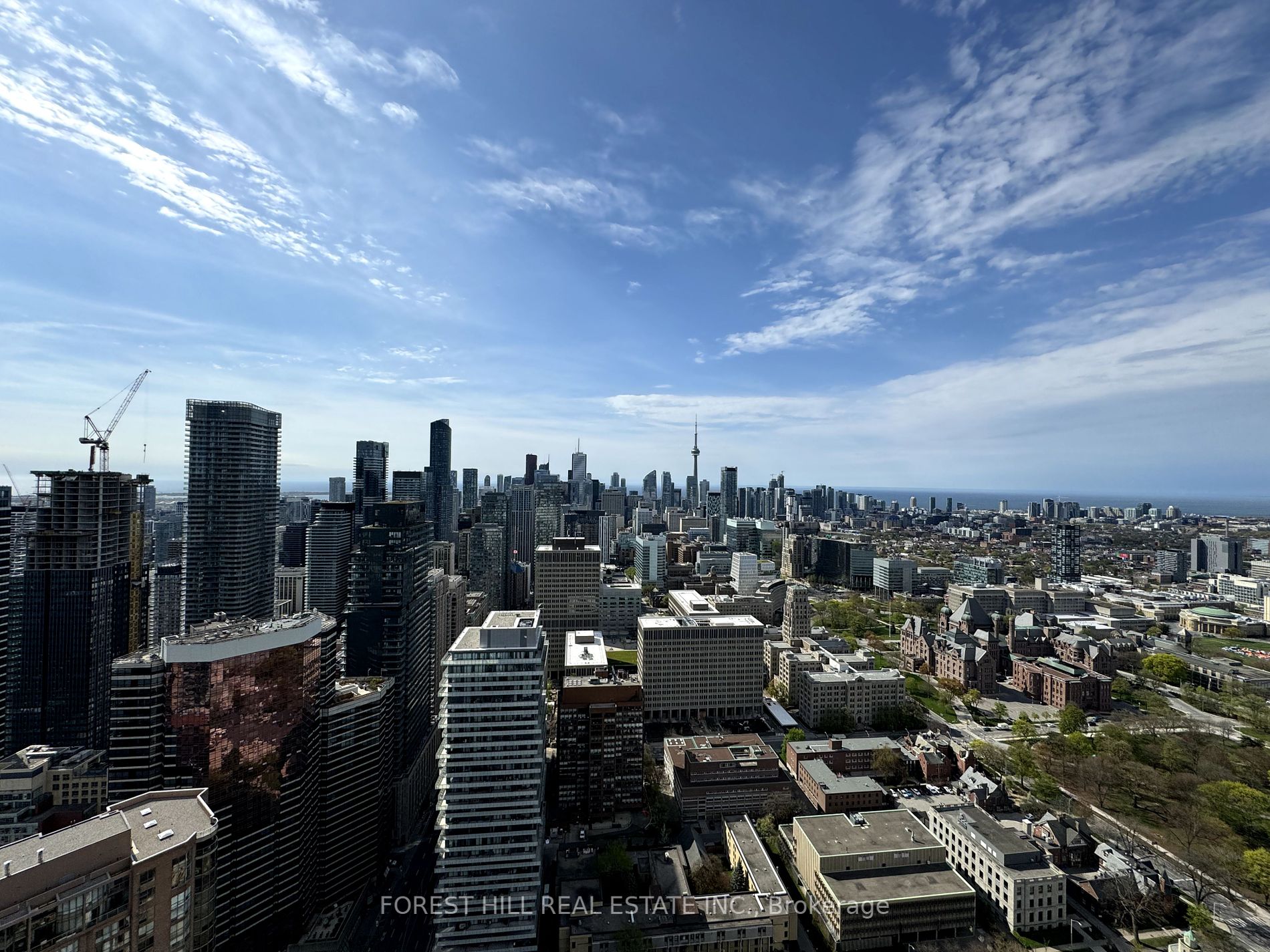 1080 Bay Street #4902