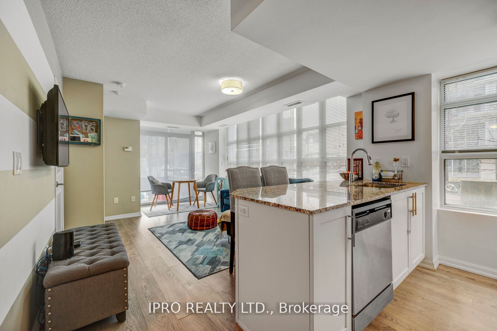 65 East Liberty Street #224