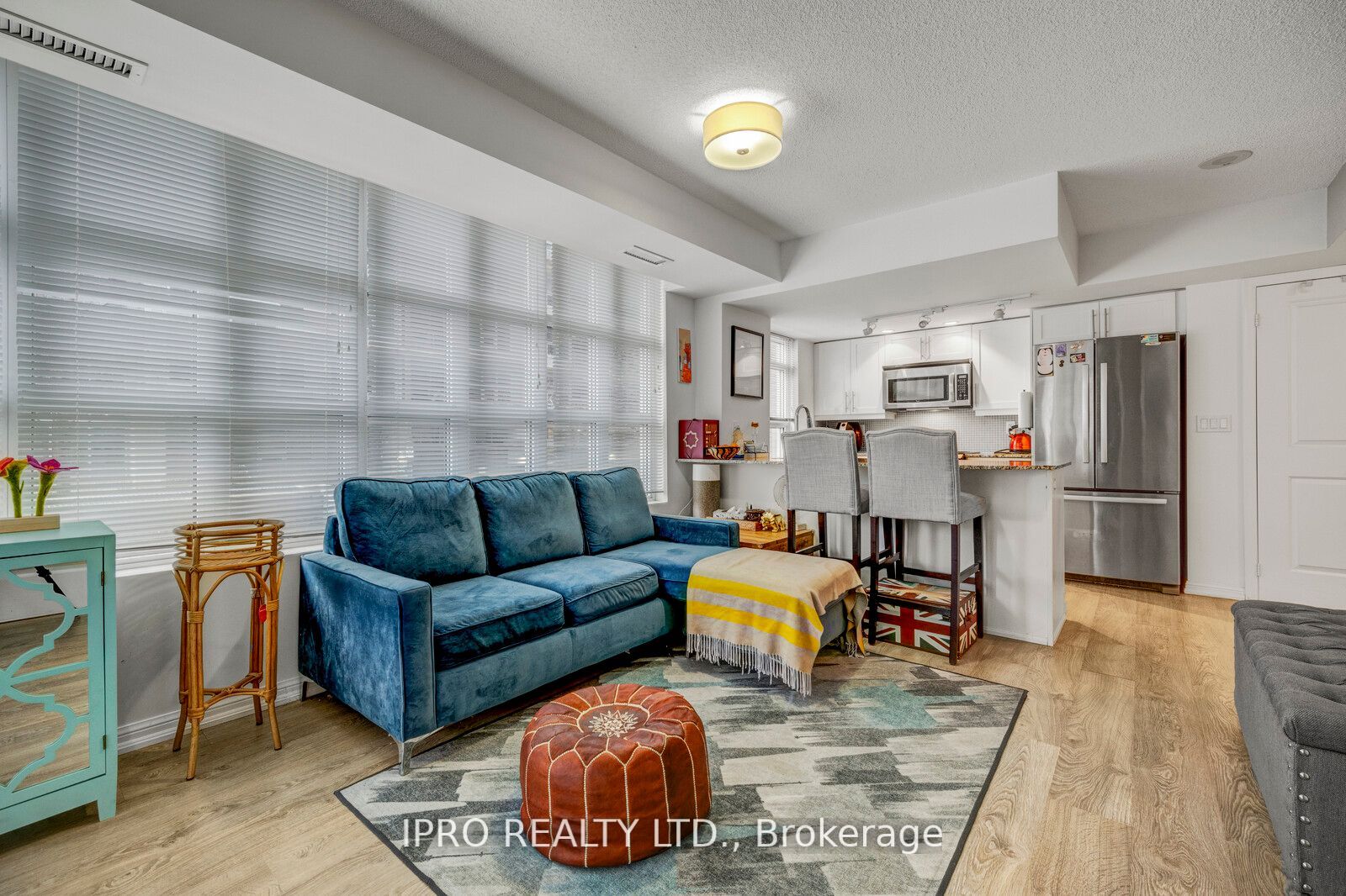 65 East Liberty Street #224