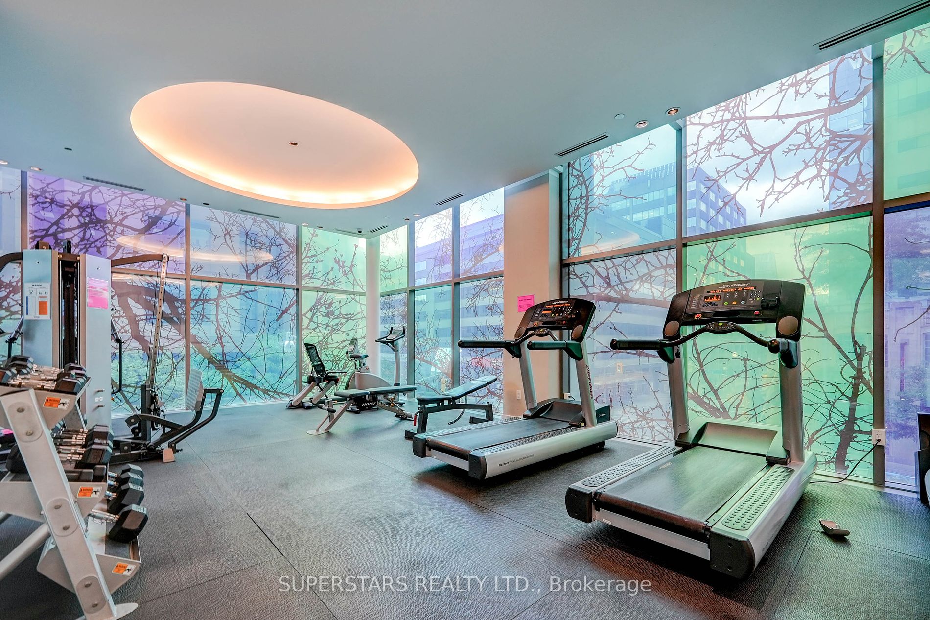 38 Grenville St, #3806