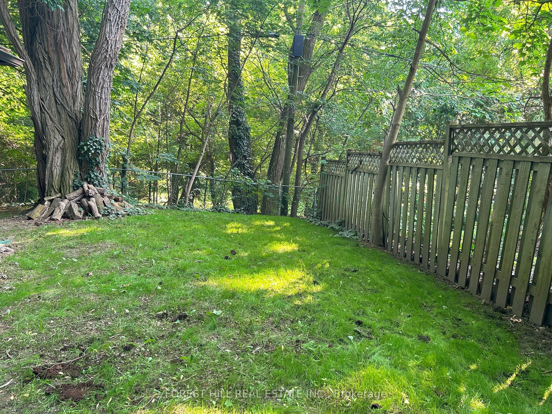 293 Chaplin Cres