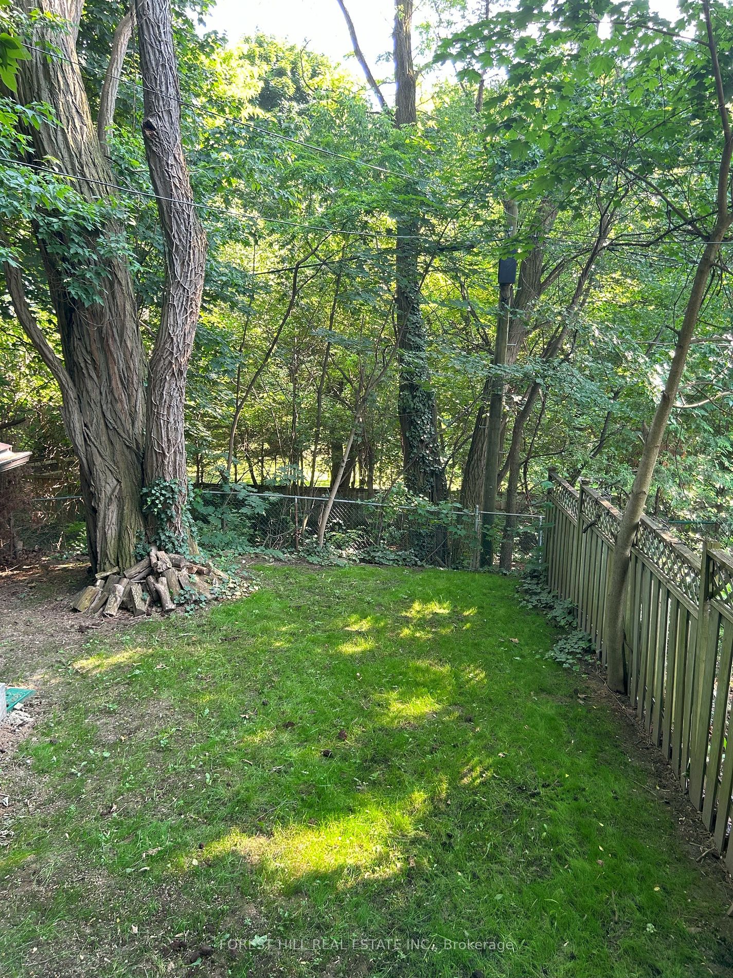 293 Chaplin Cres