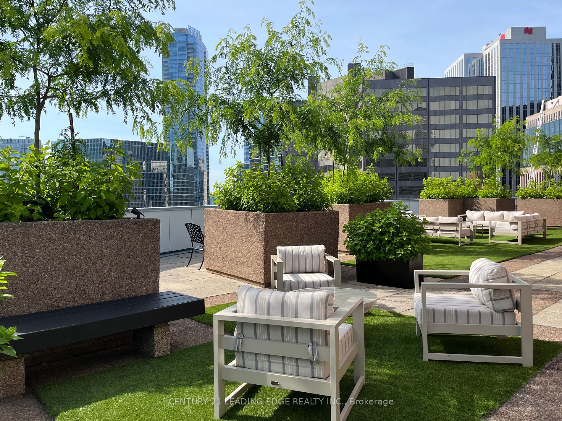 33 University Ave, #1508