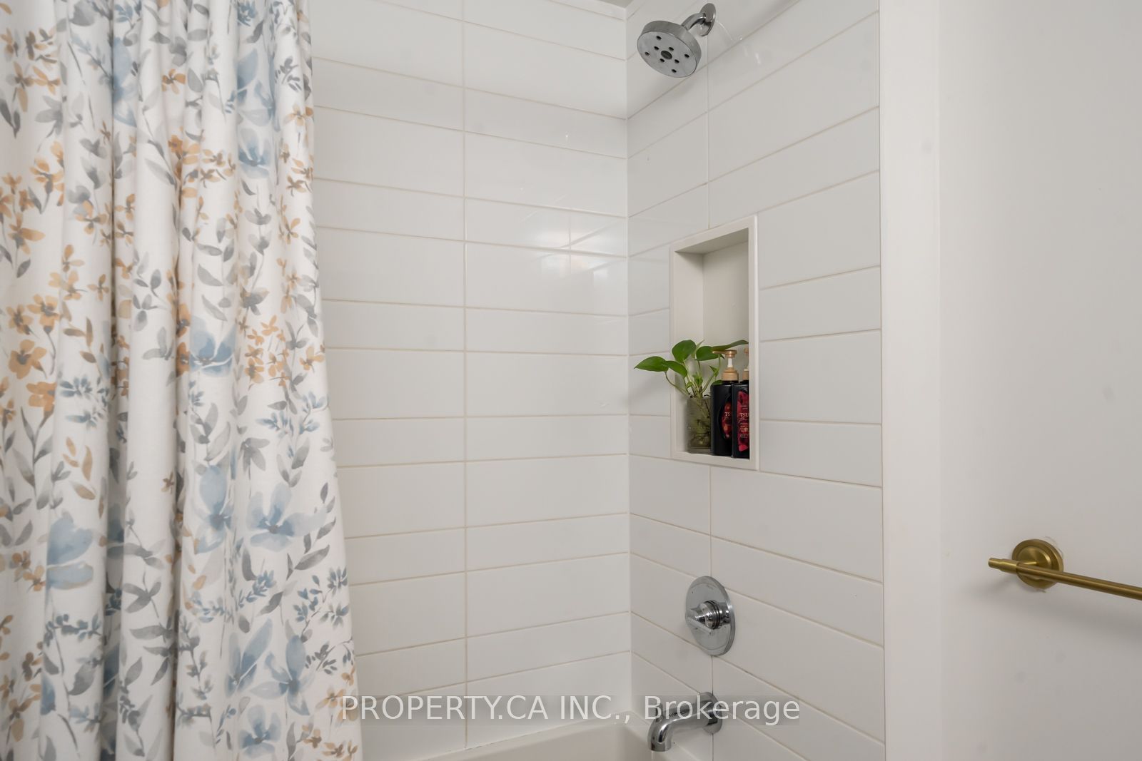 38 Iannuzzi Street, #304