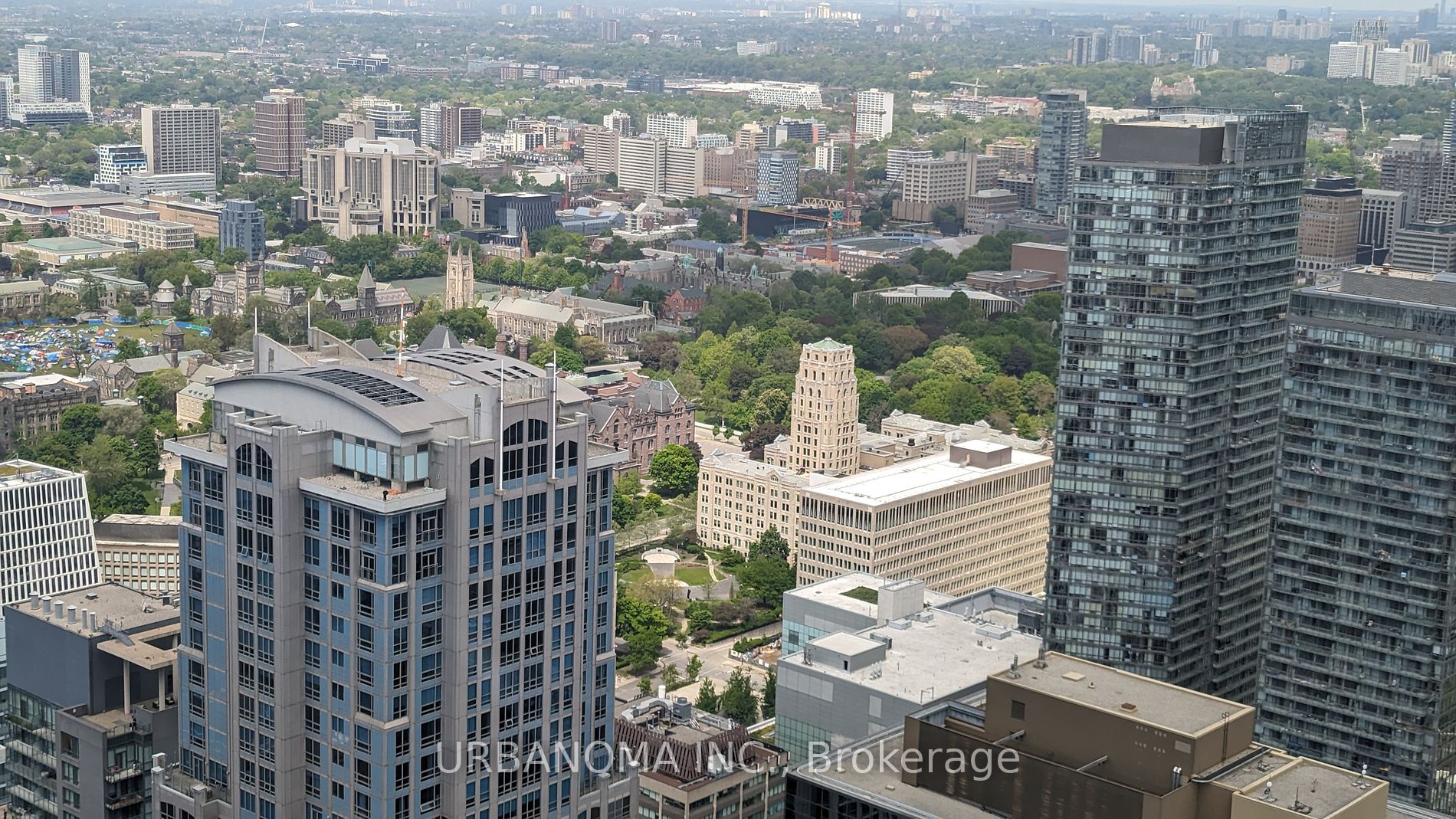 388 Yonge St W, #6116