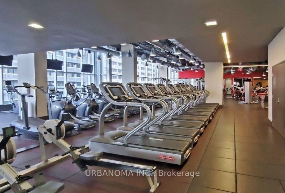 388 Yonge St W, #6116