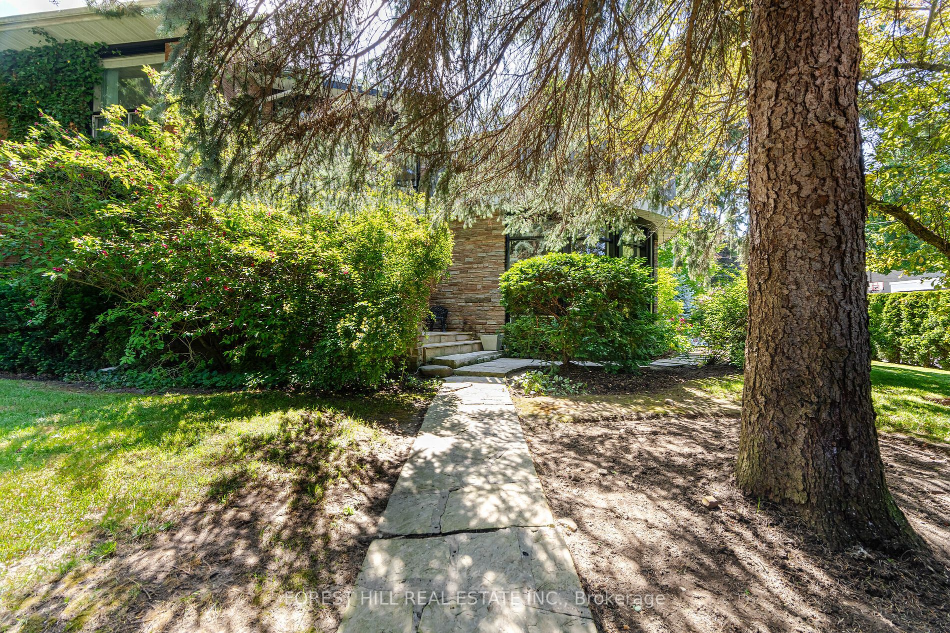 65 Blue Forest Dr